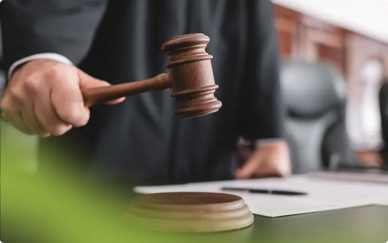 Gavel resting on legal documents, representing a plea or adjudication decision